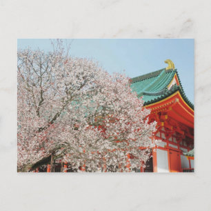 Cartão Postal Japan, Kyoto. Cherry blossom of Shinto
