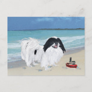 Cartão Postal Japanese Chin na Praia
