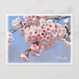 Cartão Postal Japanese Flowering Cherry