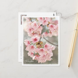 Cartão Postal Japanese Flowering Cherry
