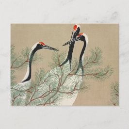 Cartão Postal Japanese woodblock-print Cranes - Kamisaka Sekka