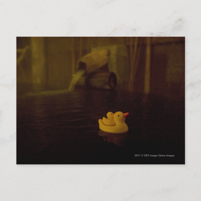 Cartão Postal Japão (Frente)