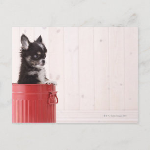 Cartão Postal Japão 4