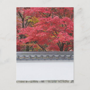 Cartão Postal Japão, Quioto, Cor de Outono no Templo Eikando