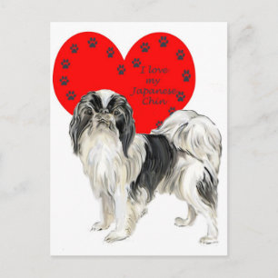 Cartão Postal Japonês_Chin