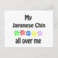 Japonês Chin Walks Design