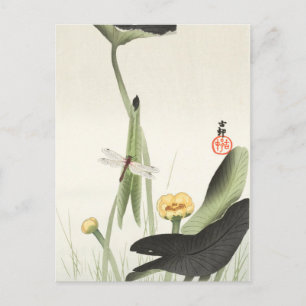 cartão postal japonês da pintura de ohara koson,小 