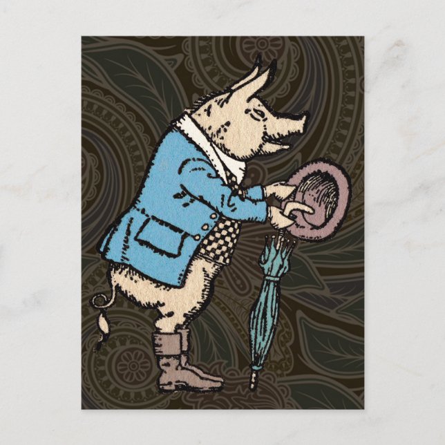 Cartão Postal Jaqueta de porcos Porquinhos Óptica Formal (Frente)