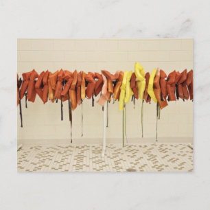 Cartão Postal Jaquetas vitais