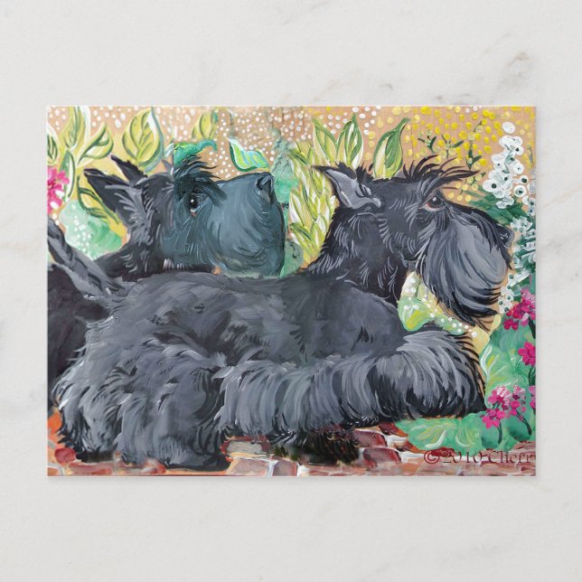 Cartão Postal Jarden Scottish Terriers (Frente)