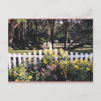 Cartão Postal jardim