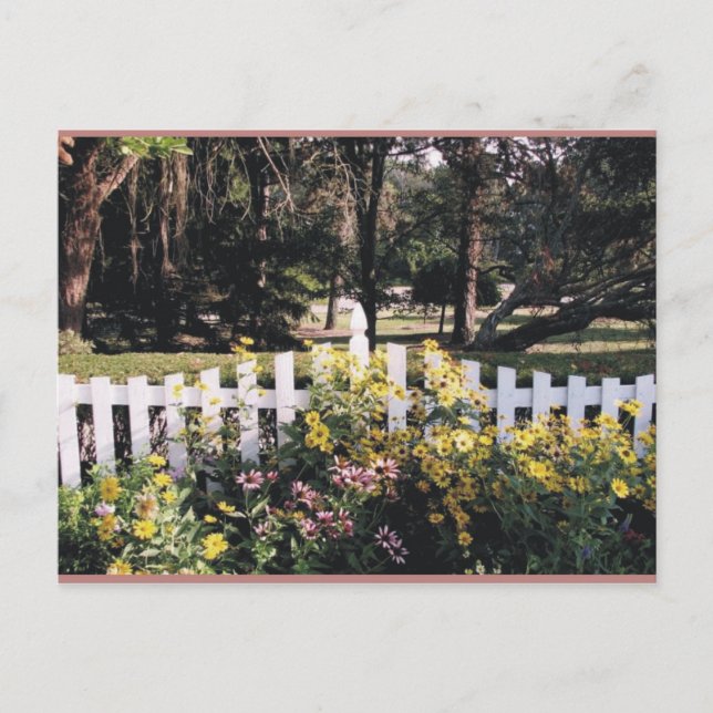 Cartão Postal jardim (Frente)