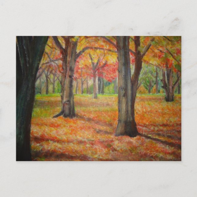 Cartão Postal Jardim à tarde (Frente)