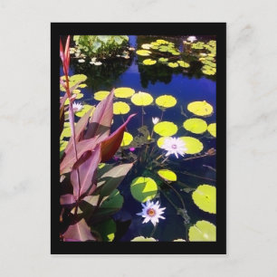 Cartão Postal jardim botânico de chicago
