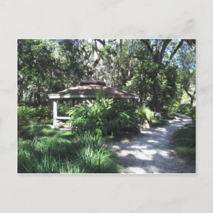 Cartão Postal Jardim botânico de Florida