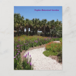 Cartão Postal Jardim Botânico de Nápoles, Flórida