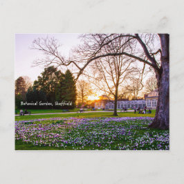 Cartão Postal Jardim Botânico em Sheffield