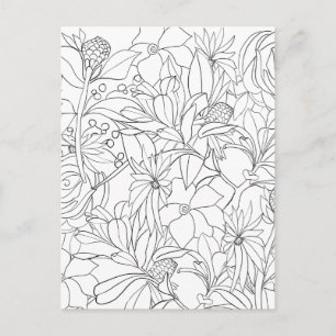 Cartão Postal Jardim branco negro de coloração floral