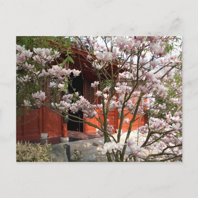 Cartão Postal jardim chinês (Frente)