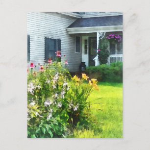 Cartão Postal Jardim com Coneflowers e Lírios