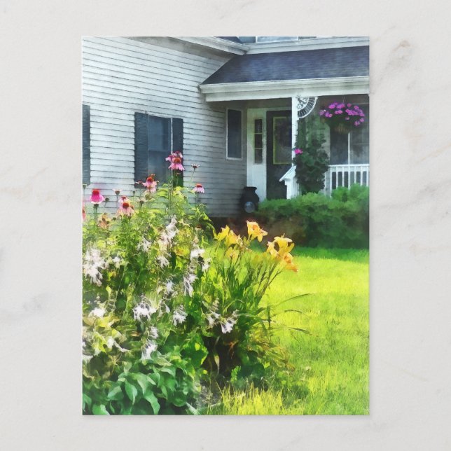 Cartão Postal Jardim com Coneflowers e Lírios (Frente)