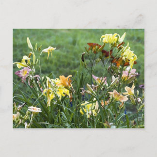 Cartão Postal Jardim de Aquarela