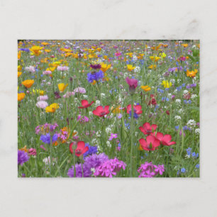Cartão Postal Jardim de Flores