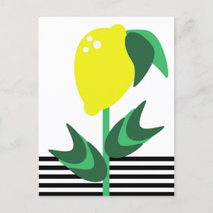 Cartão Postal Jardim de Frutas de Limão Listras de Planta     