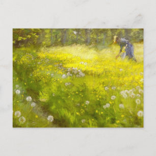 Cartão Postal Jardim de Kroyer em Skagen