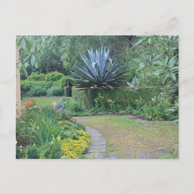 Cartão Postal Jardim de Leite (Frente)