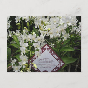 Cartão Postal Jardim de Orquídeas "Princesa Diana",Singapura