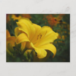 Cartão Postal Jardim de Pipoca com Manteiga - Dialeil