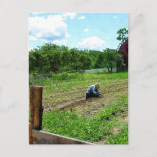 Cartão Postal Jardim de Plantação de Mulher Perto de Barn