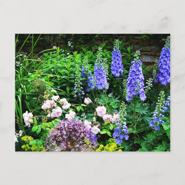 Cartão Postal Jardim de Verão (Frente)