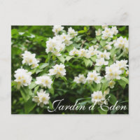 Jardim do Éden
