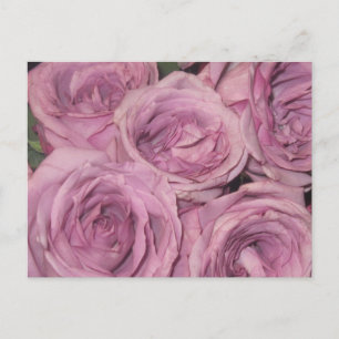 Cartão Postal Jardim Floral