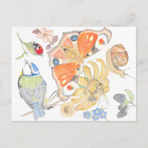 Cartão Postal Jardim inglês