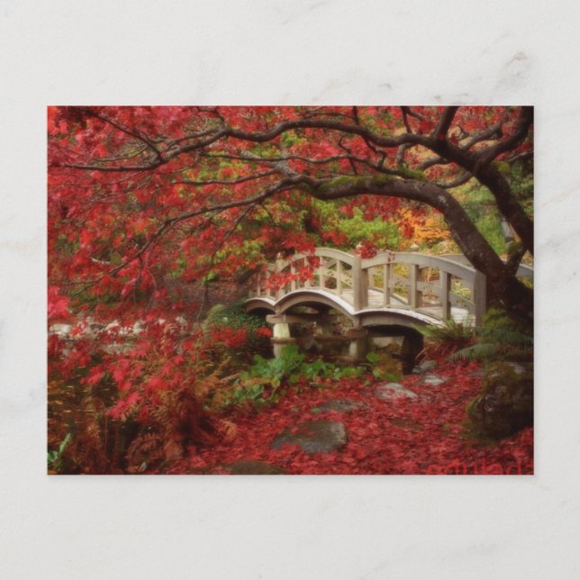 Cartão Postal Jardim Japonês (Frente)