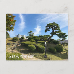 Cartão Postal Jardim Japonês