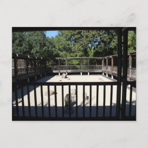 Cartão Postal Jardim Japonês em Fort Worth Texas # 54