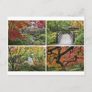 Cartão Postal Jardim Japonês na Época Colorida do outono