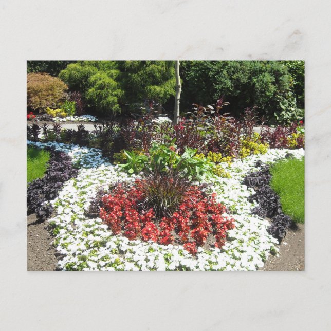 Cartão Postal Jardim Manicured (Frente)