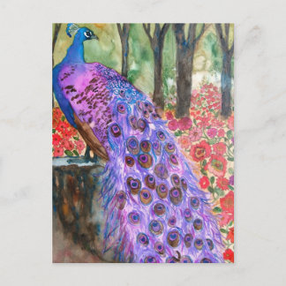 Cartão Postal Jardim Peacock