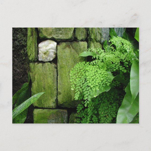 Cartão Postal Jardim Pedroso - Cartão-postal (Frente)