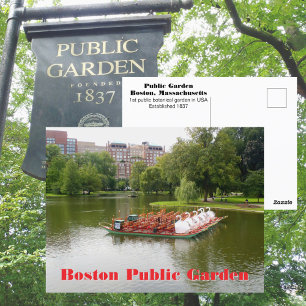 Cartão Postal Jardim Público de Boston Fotografias de Swan Boats