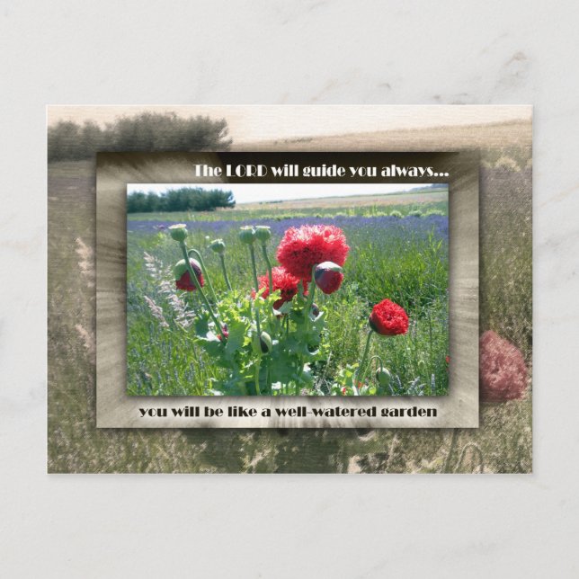Cartão Postal Jardim regado (Frente)