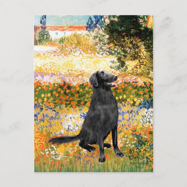 Cartão Postal Jardim - Retriever de Capa Lisa (Frente)