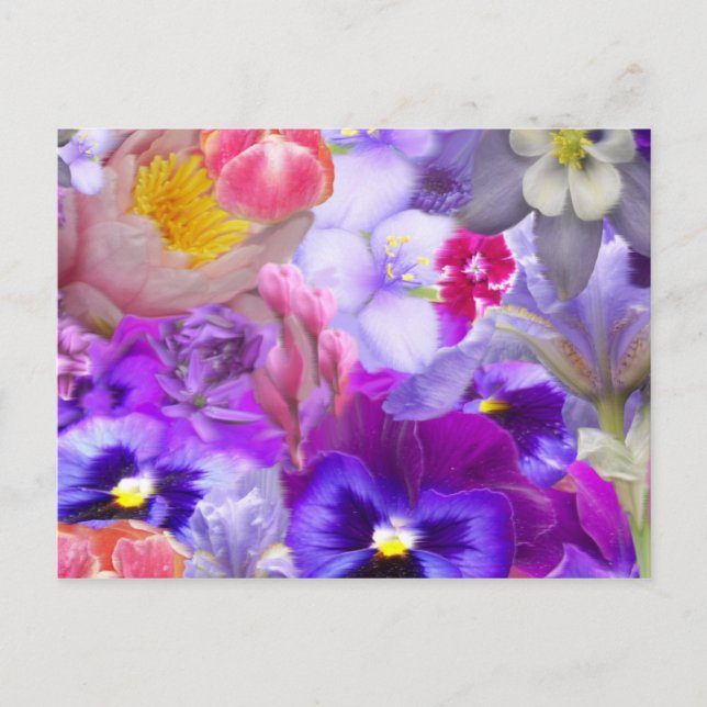 Cartão Postal Jardim Rotário (Frente)