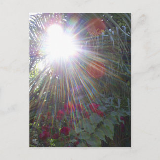 Cartão Postal Jardim Sunlight