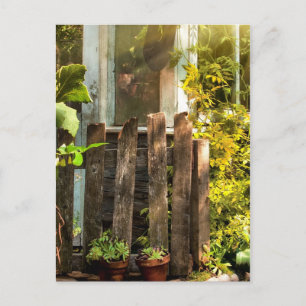 Cartão Postal Jardim supercultivado à luz do sol matinal